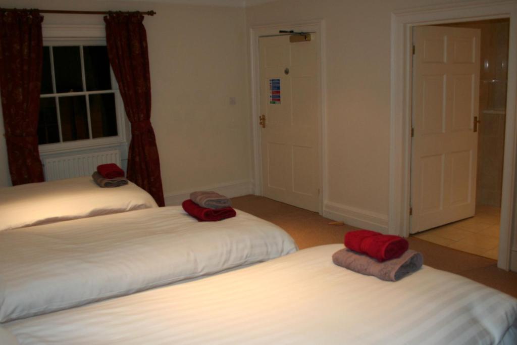 The Trewythen Hotel Llanidloes Exterior photo