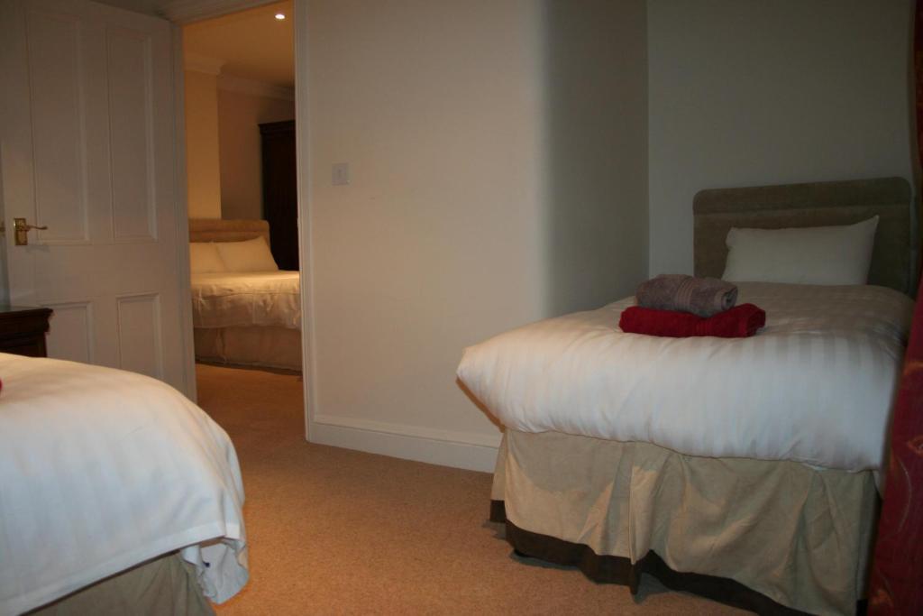 The Trewythen Hotel Llanidloes Exterior photo